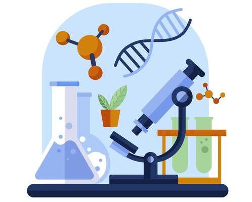 laboratorio tslb