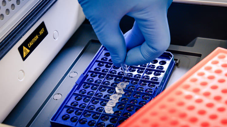 Concorsi e Avvisi Pubblici per BIOTECNOLOGI e BIOLOGI