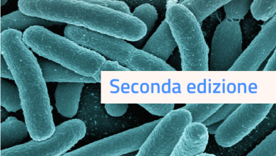 ECM FAD