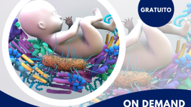 ECM-FAD-microbiota-on-demand